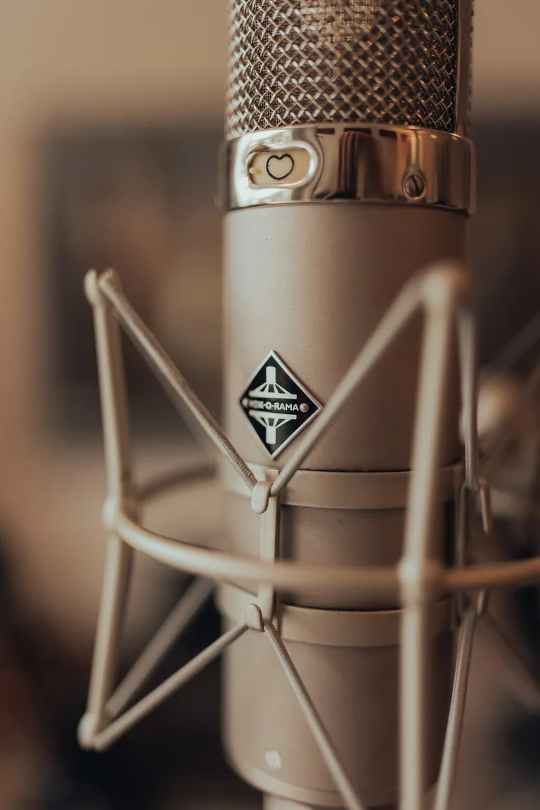 Professional condenser microphone in shock mount at Limusic residential recording studio in southern France