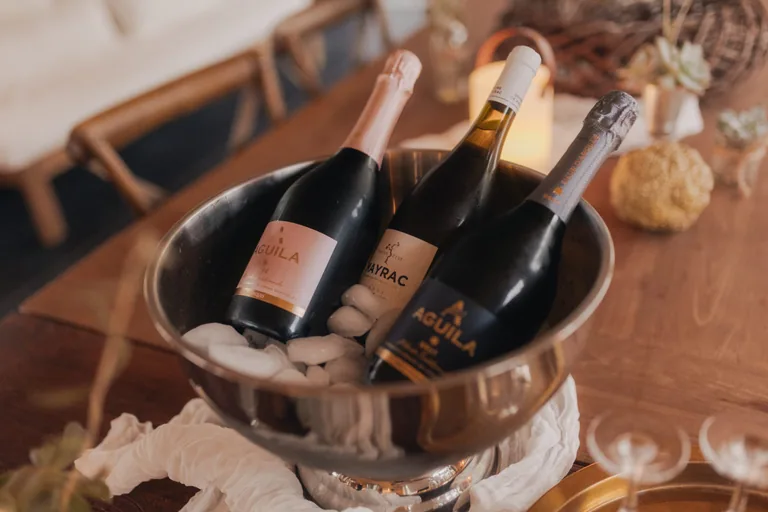 Wine bottles chilling in ice bucket at Limusic Residential Recording Studio in Limoux, southern France, available for all-inclusive recording and songwriting sessions