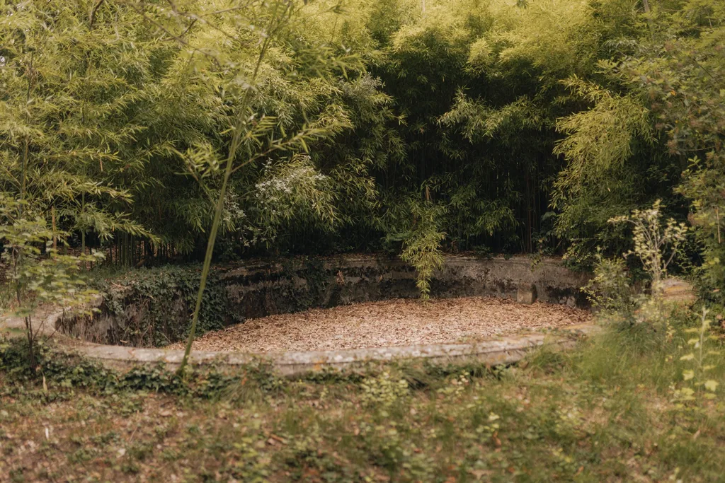 Outdoor courtyard surrounded by lush greenery at Limusic residential recording studio estate in Limoux, southern France